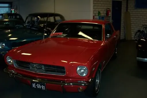 Mustang10006.webp