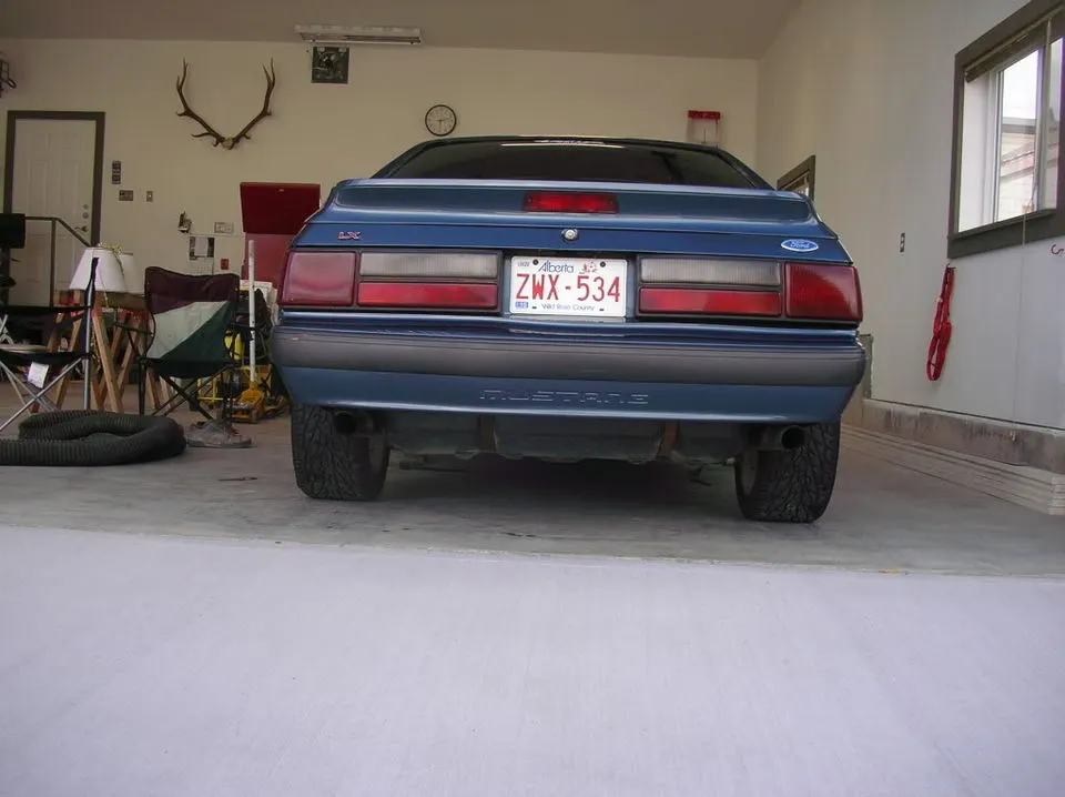 mustang1004.webp