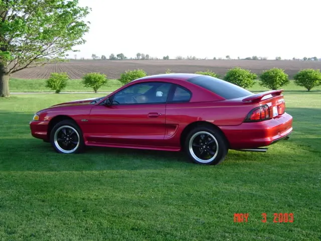 mustang1004.webp