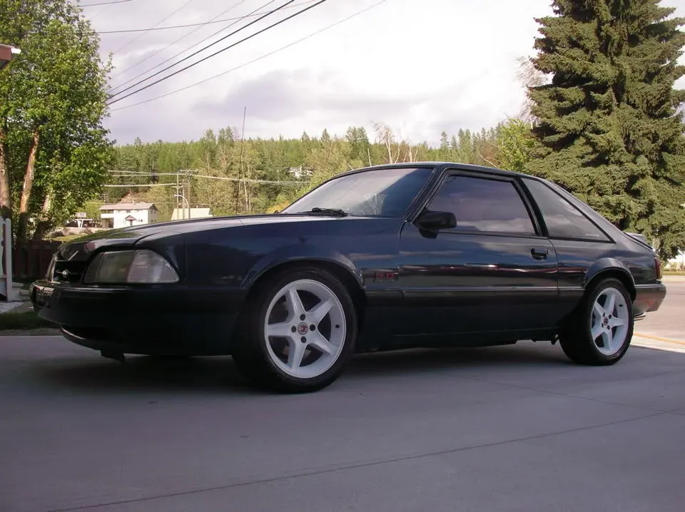 mustang1005.webp