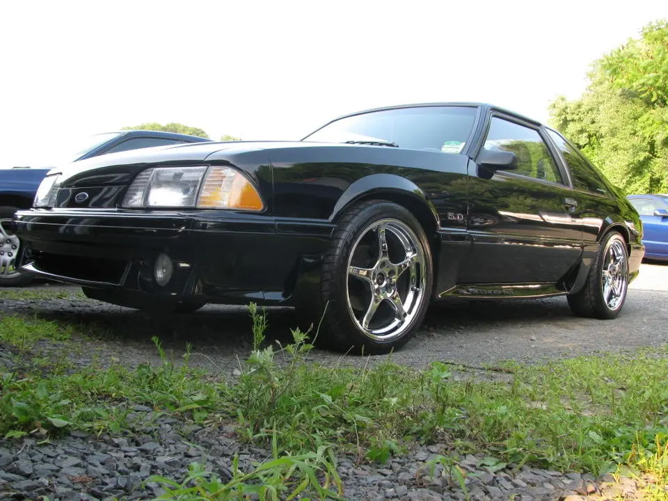 Mustang1008.webp