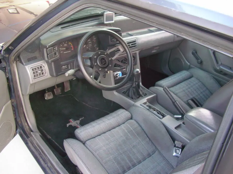 mustang1008.webp