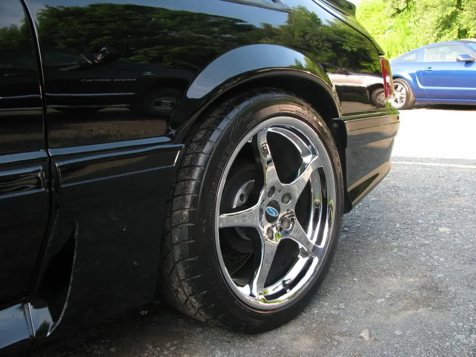 Mustang1009.webp