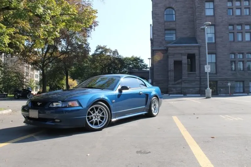 mustang1009_01.webp