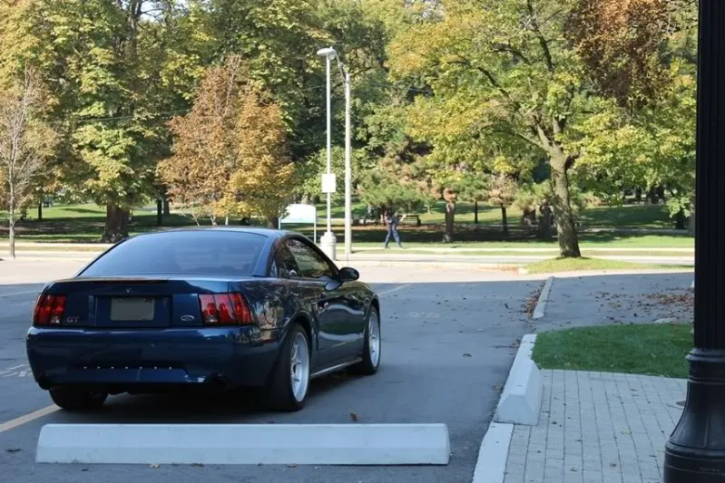 mustang1009_02.webp