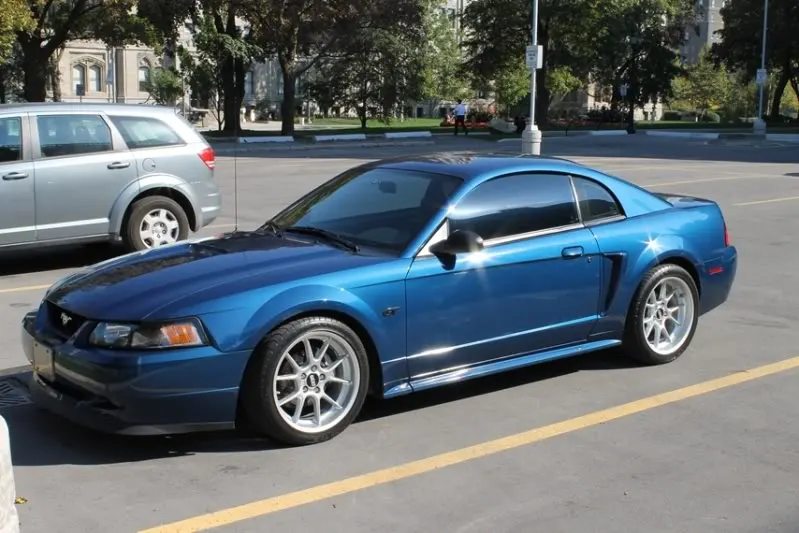 mustang1009_03.webp