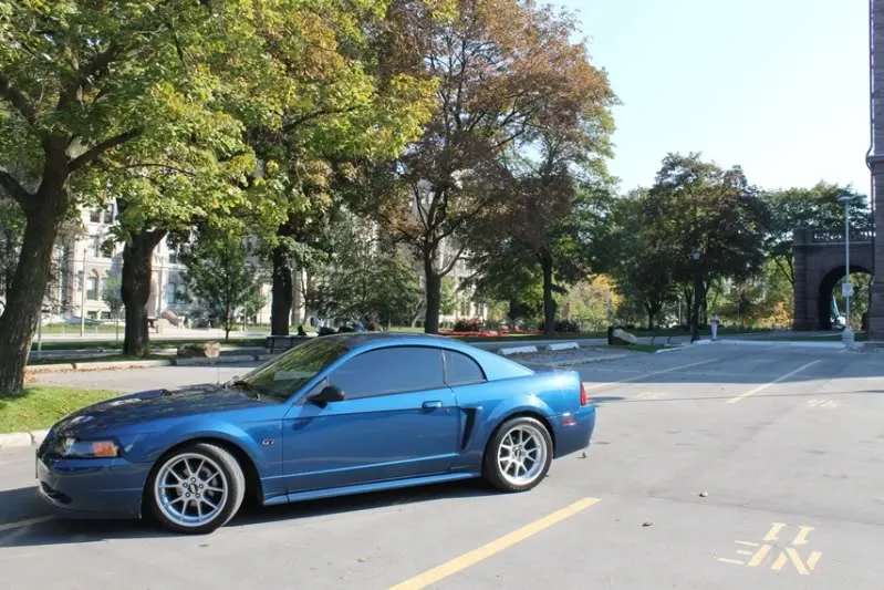 mustang1009_05.webp