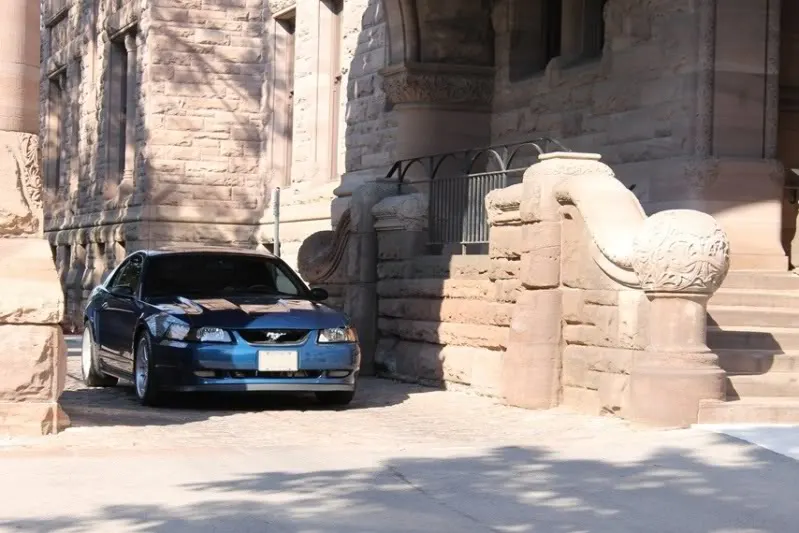 mustang1009_06.webp