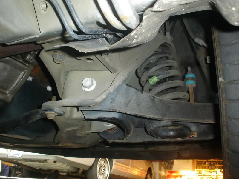 Mustang1018.webp