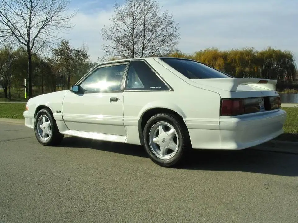 mustang102.webp
