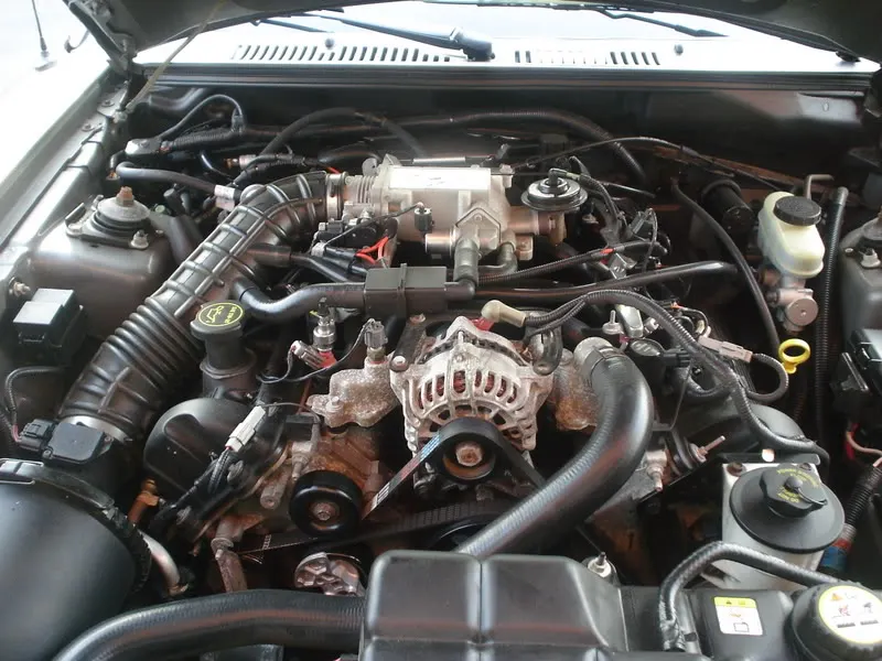 Mustang1028.webp