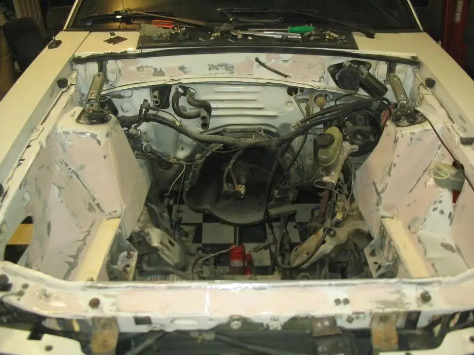 mustang103.webp