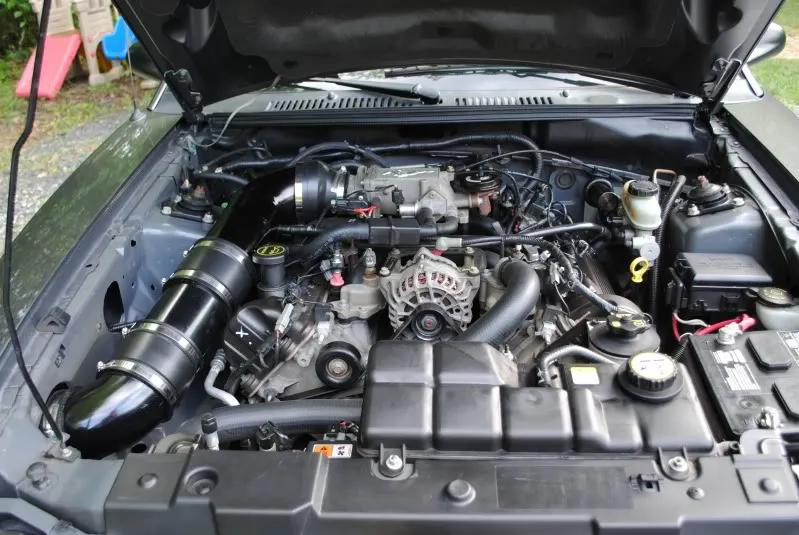 mustang108.webp