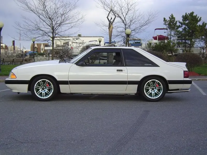mustang10th.webp