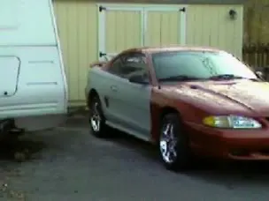 mustang11.webp