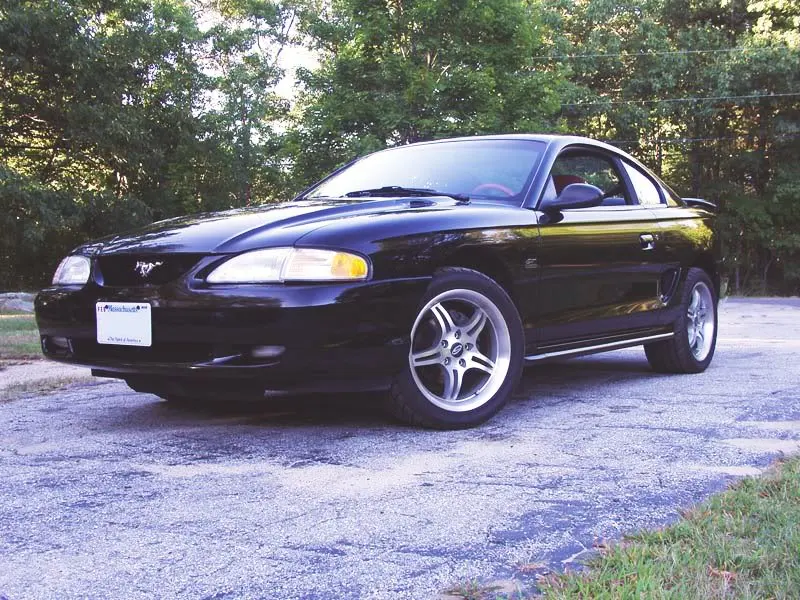 mustang11.webp