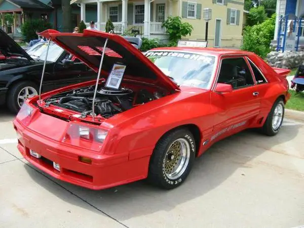 mustang11.webp