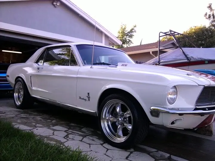 mustang111.webp