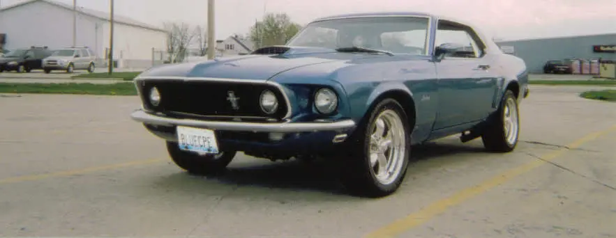 mustang111.webp