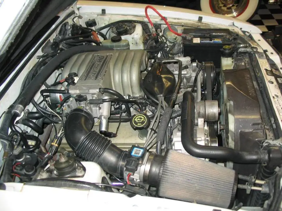 mustang112.webp