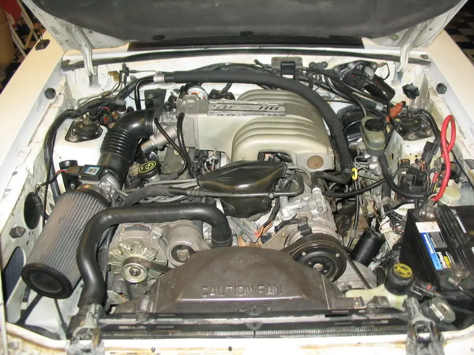 mustang113.webp