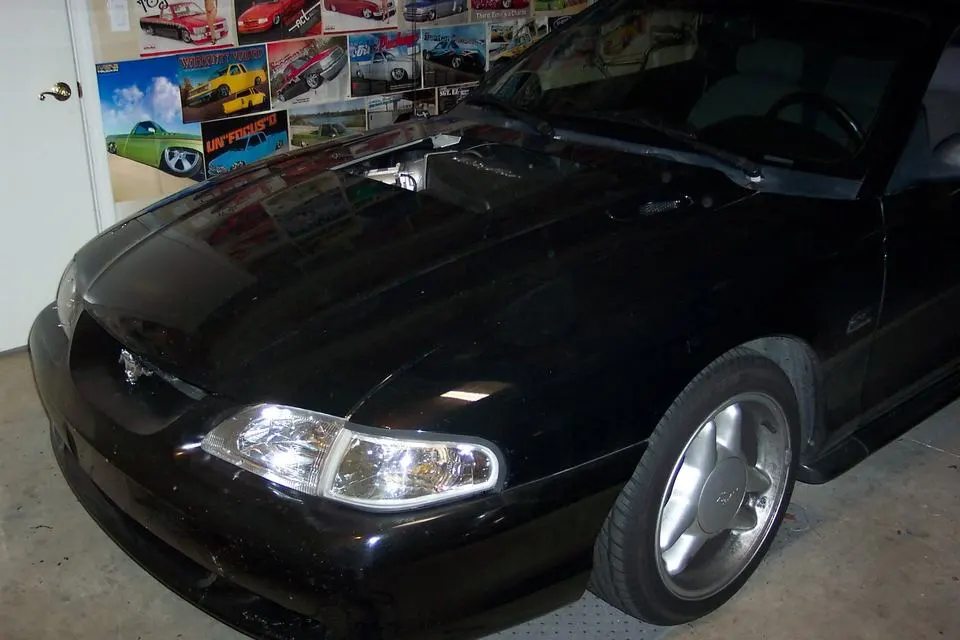 Mustang12.webp