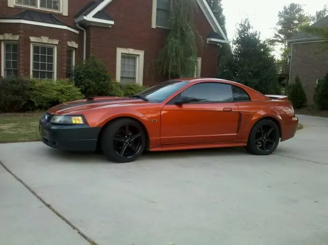 mustang12.webp