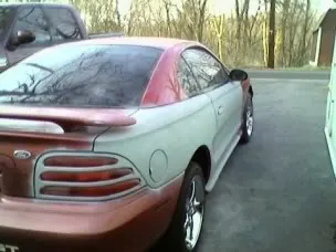 mustang12.webp
