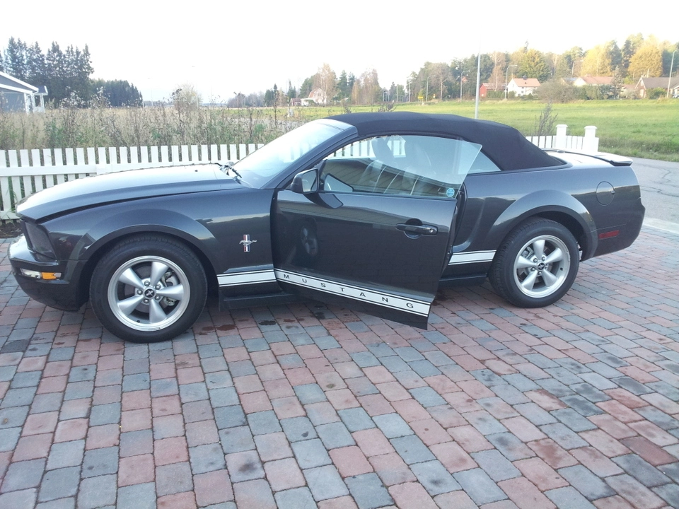 mustang12345.webp