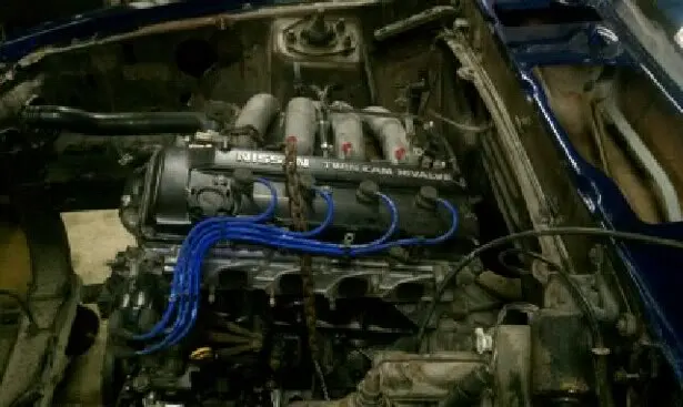 mustang13.webp