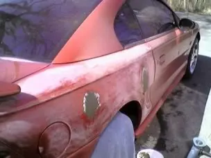 mustang13.webp