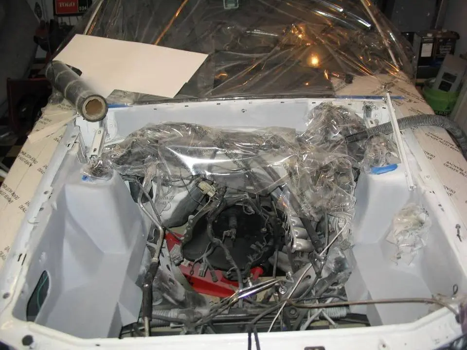 mustang137.webp