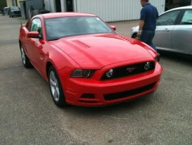 mustang14ft1.webp