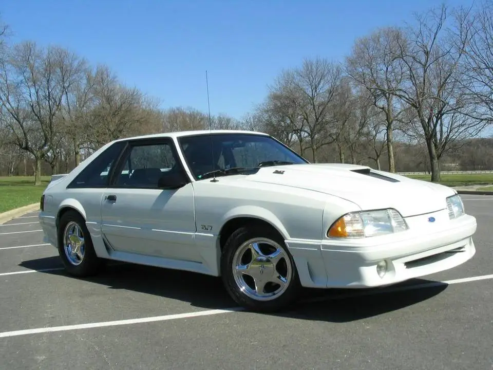 mustang154.webp