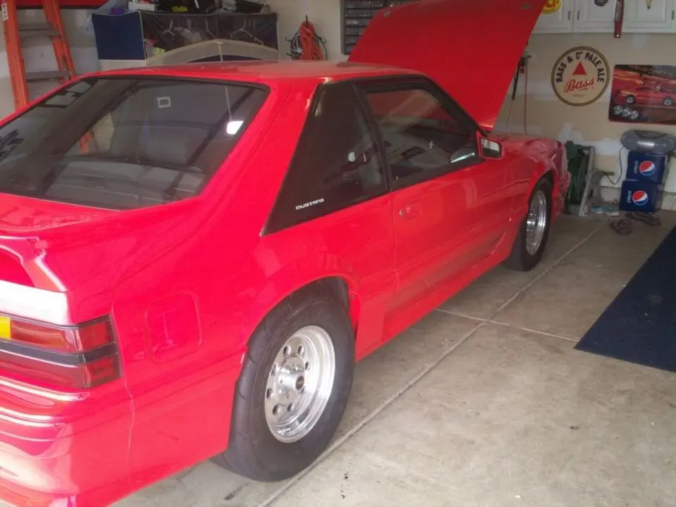 Mustang156.webp