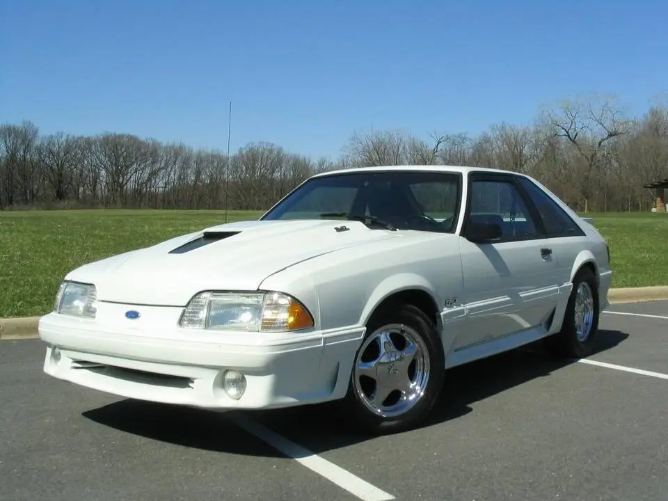 mustang156.webp