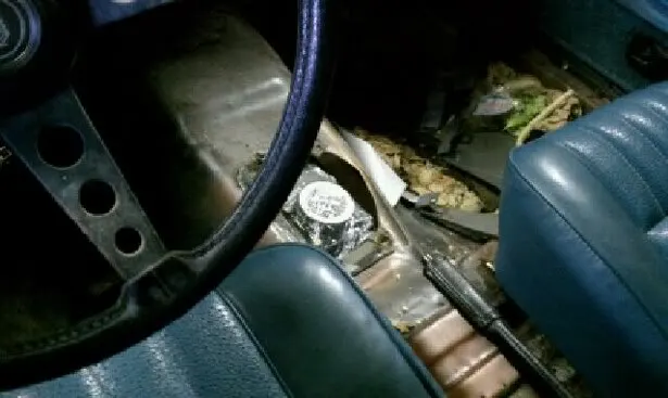 mustang16.webp