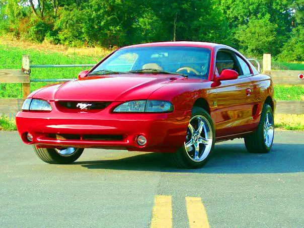 mustang16.webp