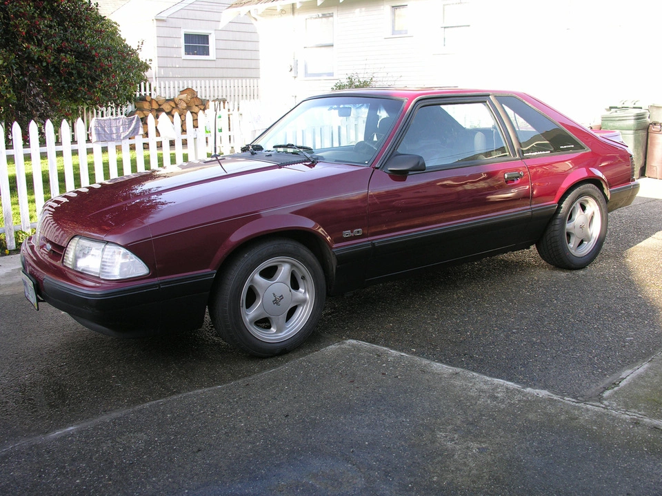 mustang163.webp