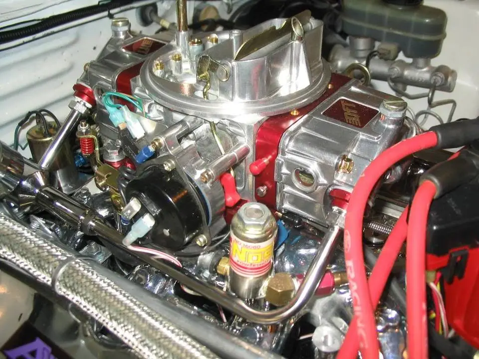 mustang171.webp