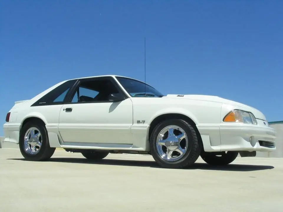mustang175.webp