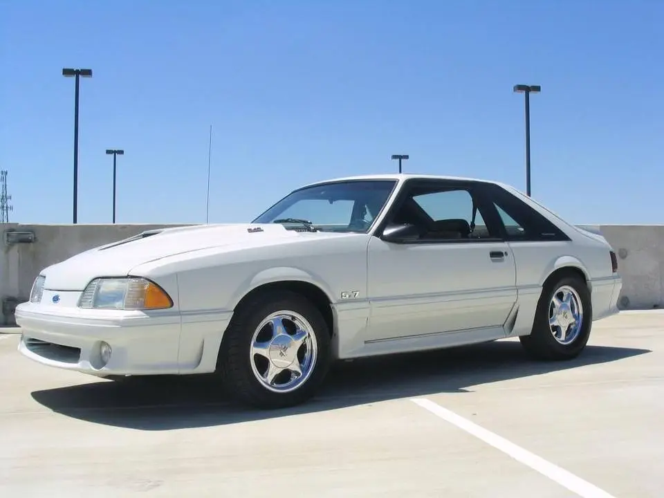 mustang177.webp