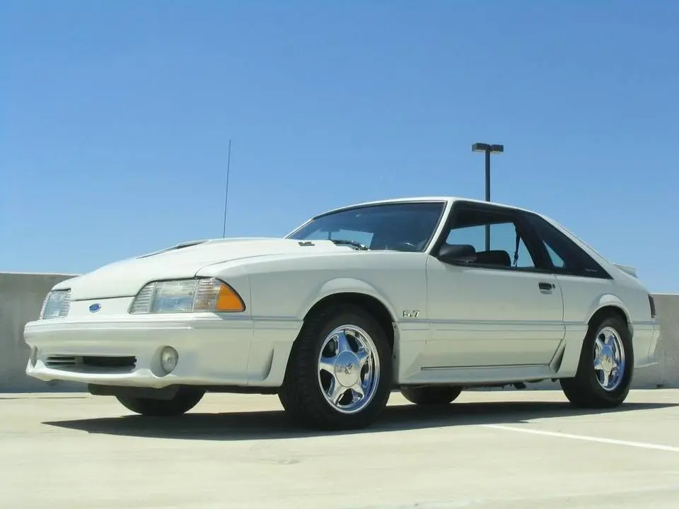 mustang178.webp