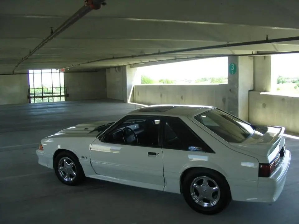 mustang181.webp