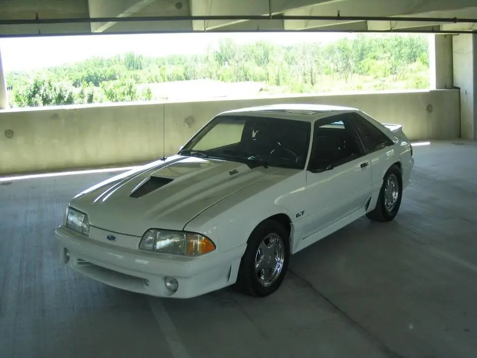 mustang182.webp