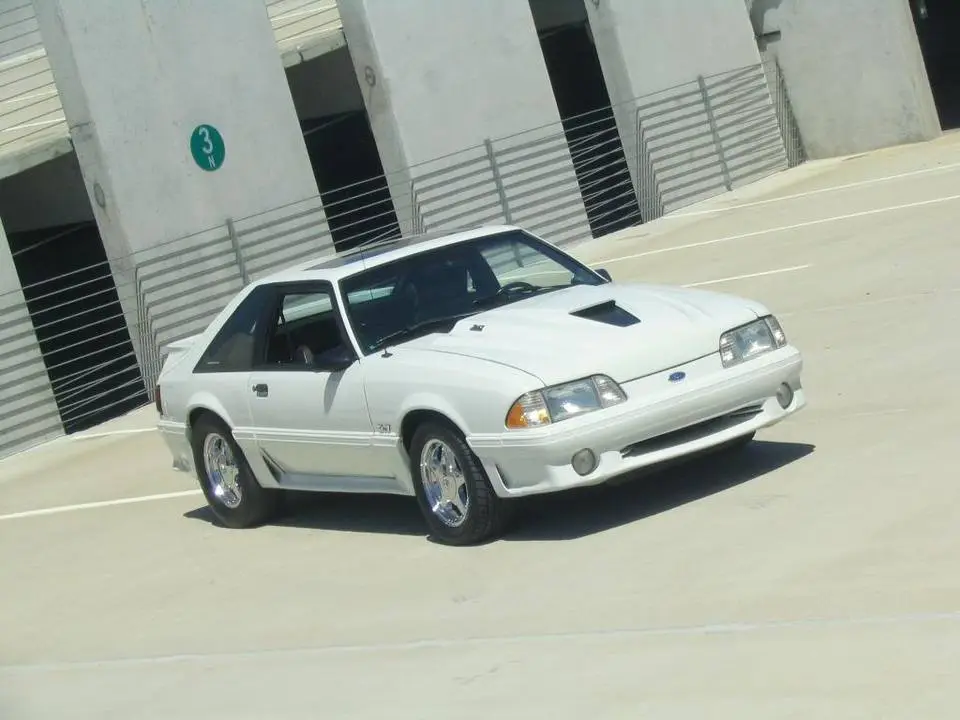 mustang191.webp