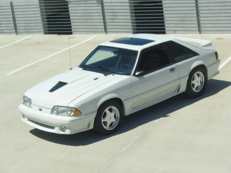 mustang192.webp