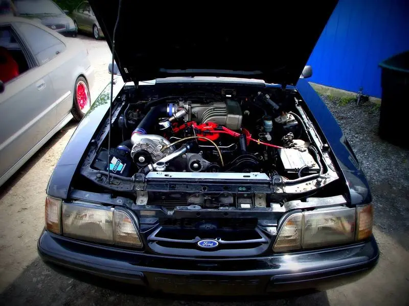 Mustang1_zps6ht2bcpf.webp