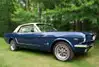mustang1edit.webp