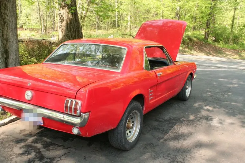 Mustang1recreated-1.webp